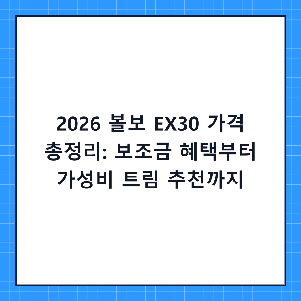 2026 볼보 EX30 가격 총정리: 보조금 혜택부터 가성비 트림 추천까지